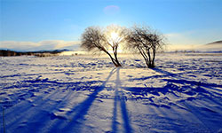 米线加盟，有一种不怕冷的美食，叫做十秒到米线！