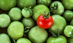 米线加盟行业深似海，如何在众多米线品牌中脱颖而出？