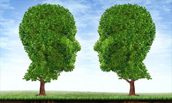 加盟十秒到过桥米线让我的生活变得如此美好